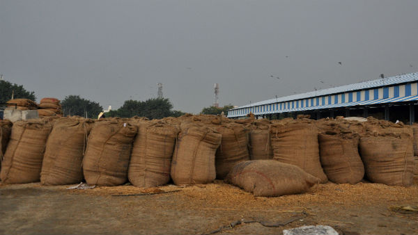 Congress targets govt over wheat export ban, terms it ‘Anti Farmer’