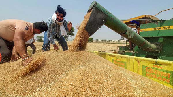 Centre extends wheat procurement season till May 31