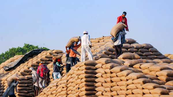 Government allows some relaxation in wheat export ban, allows 1.67 lakh tonnes to be loaded