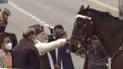 PM Modi lauds services of horses in armed forces