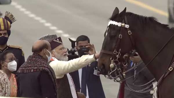 PM Modi lauds services of horses in armed forces