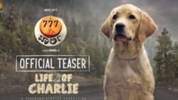 Inspired by '777 Charlie' movie, Police name the new sniffer dog as CHARLIE