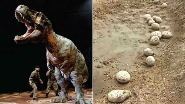 'Abnormal' titanosaurid dinosaur egg found by DU researchers in MP