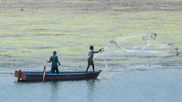 India to make pitch at WTO to exempt from subsidy cuts for nations not into distant water fishing