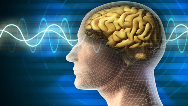 Explained: How IISC researchers are Using GPUs to discover human brain activity