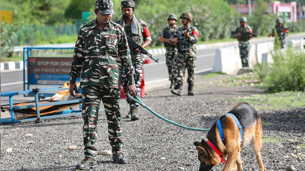 Amarnath Yatra 2022: Massive searches carried out along border