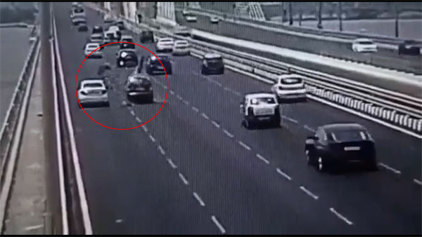 Businessman, driver stop to save eagle; killed as cab ploughs into them on Bandra-Worli sea link| VIDEO