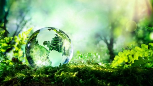 Explained: Importance of World Environment Day