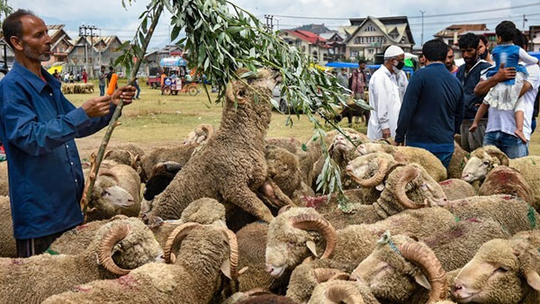 Bakrid: Several 'Imams' appeal to Muslims to not offer sacrifices of animals in open spaces