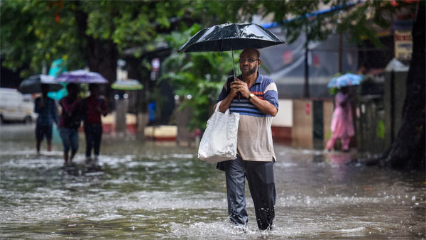 Maha rains: Major rivers flow above danger mark; Red alert in Palghar