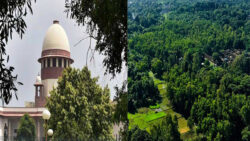 SC to hear plea against construction of metro car shed in Aarey forest area today