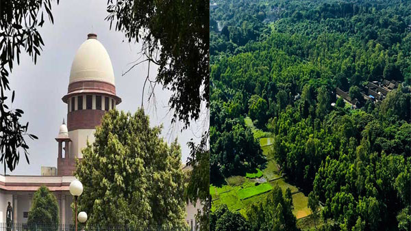 SC to hear plea against construction of metro car shed in Aarey forest area today