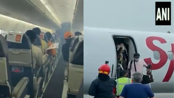 Jabalpur-bound SpiceJet flight returns to Delhi, after crew notices smoke in cabin at 5,000 ft height