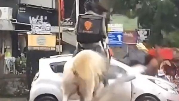 Swiggy identifies man on horseback in viral video