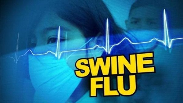 Kerala: African swine fever reported in Wayanad