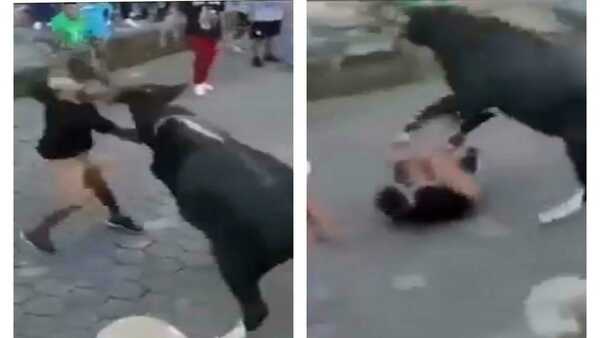 Viral: In hair-raising video, bull goes rogue, mercilessly attacks man on busy road