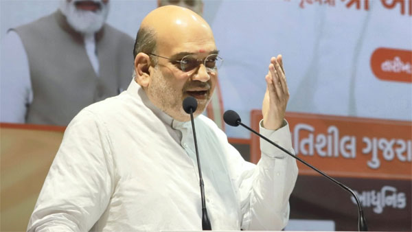 PM Modi gave an all-reaching, all-inclusive govt in 8 years: Amit Shah