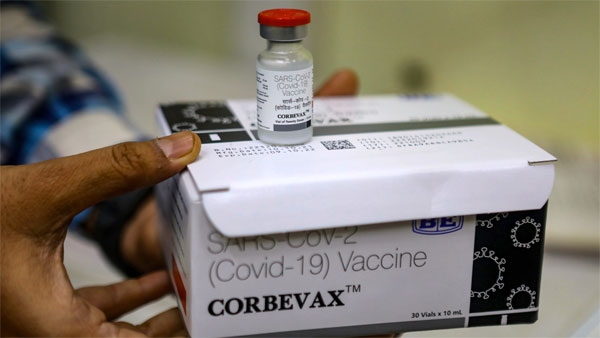 Corbevax approved as booster dose for adults jabbed with Covishield, Covaxin