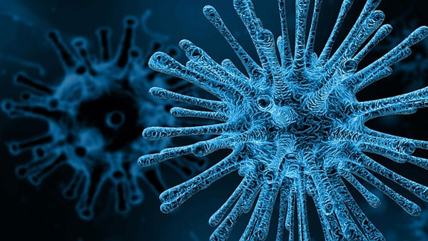 What is Hendra Virus? Should you be worried?