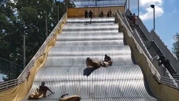 Viral video: Design error in giant slide ends in its closure in hours