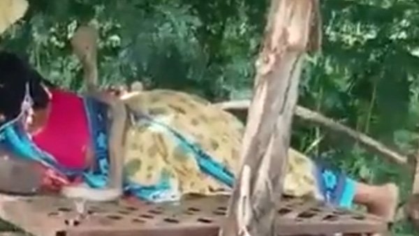 Spine-chilling video shows cobra sitting beside woman for more than 30 min