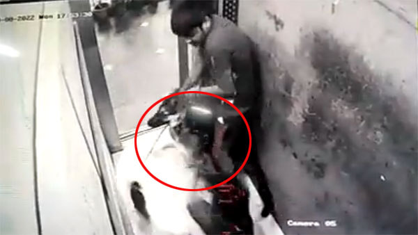 On Camera: Dog attacks delivery boy in Noida society