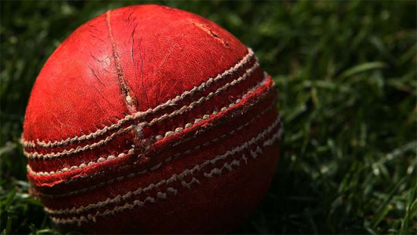 Using saliva to polish cricket ball prohibited, ICC makes changes in playing conditions