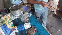 Why is there not much impact of the ban on single-use plastic