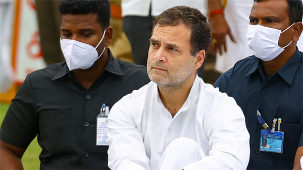 Lost my father to 'hate and division', do not want to lose country: Rahul