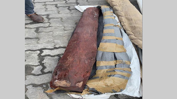 DRI, Customs seize 10,230 kg of red sanders worth of Rs 6 cr from Haryana