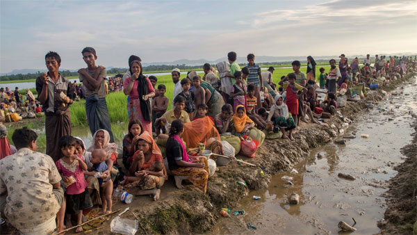 Rohingya refugees: A problem both to India and Bangladesh