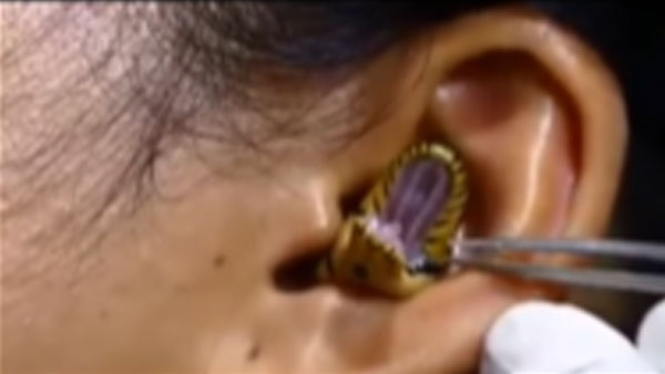 Snake cozies up in woman's ear, while netizens freeze in fear