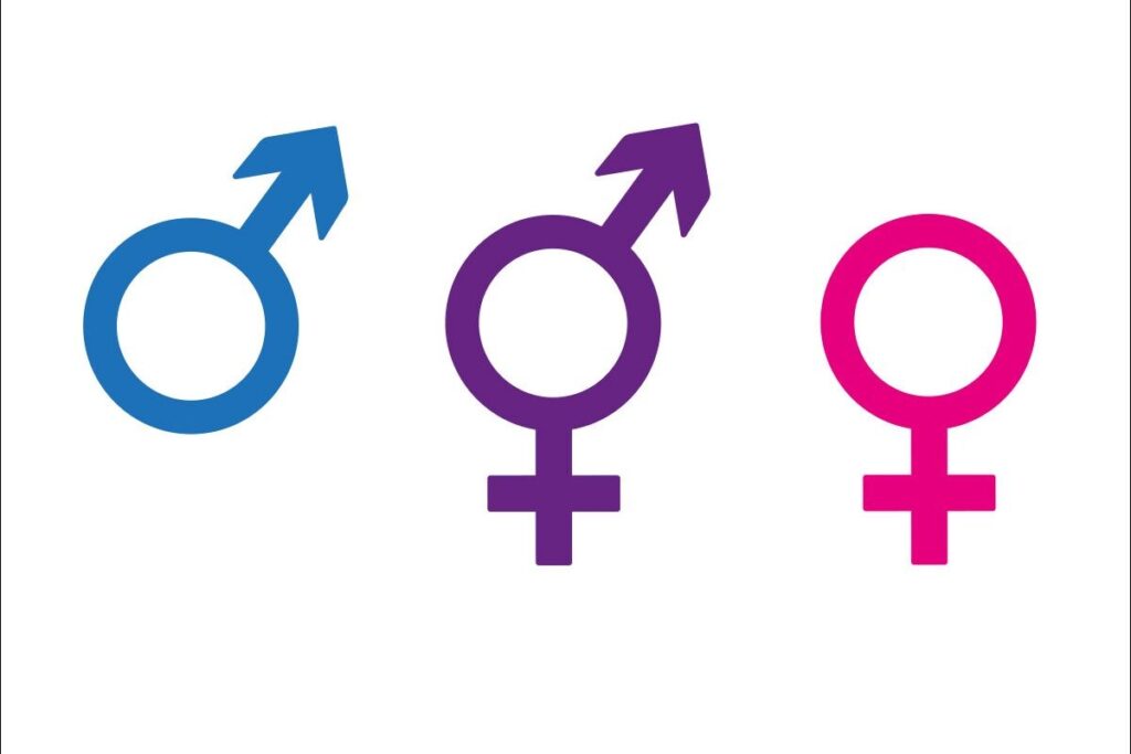 Collaborating for Change: Partnerships between Government, NGOs, and the LGBTQ+ Community to Drive Toilet Inclusivity Initiatives