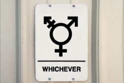 Toilet Inclusivity as a Human Right: Advocating for Policy Reforms and Legal Protection