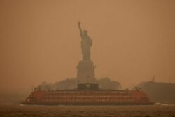 From Masks to Air Purifiers: What New Yorkers Can Learn From Delhi Amid Its Unprecedented Pollution