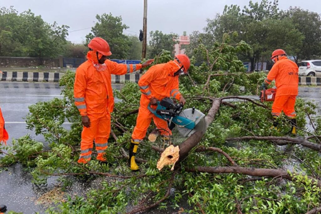 Biparjoy Cyclone: LIC Announces Relaxations For Victims, Check Details Here