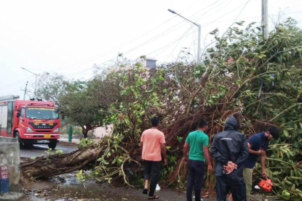 Cyclone Biparjoy Leaves Trail of Destruction in Gujarat; 1.16 Lakh Electric Poles Damaged, 3,893 km Roads Damaged