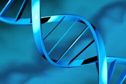 Y Chromosome Loss in Men with Age Linked with Worse Cancer Outcomes