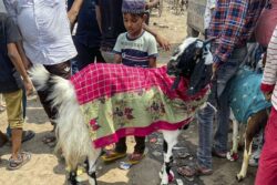 'Offensive to Other Muslims': Pak Punjab Police Says Minority Ahmadis Can't Do Eid Qurbani | Exclusive