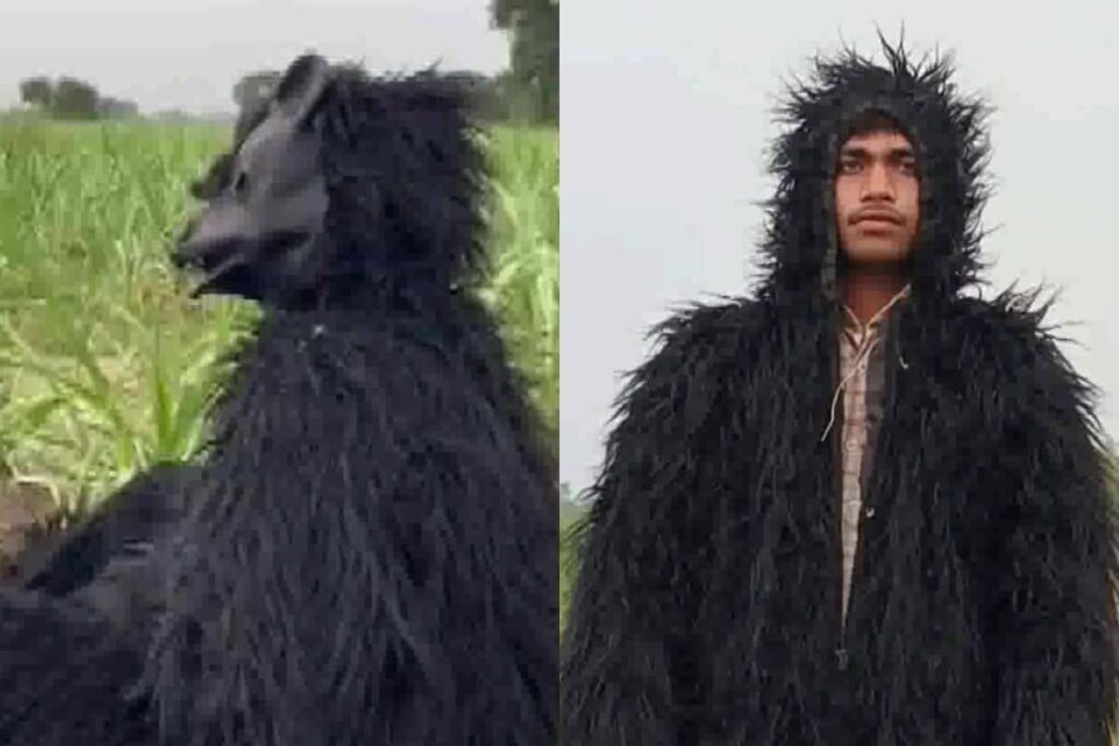 UP Farmers Wear 'Bear Costume' to Protect Crops From Monkeys, Pics Go Viral