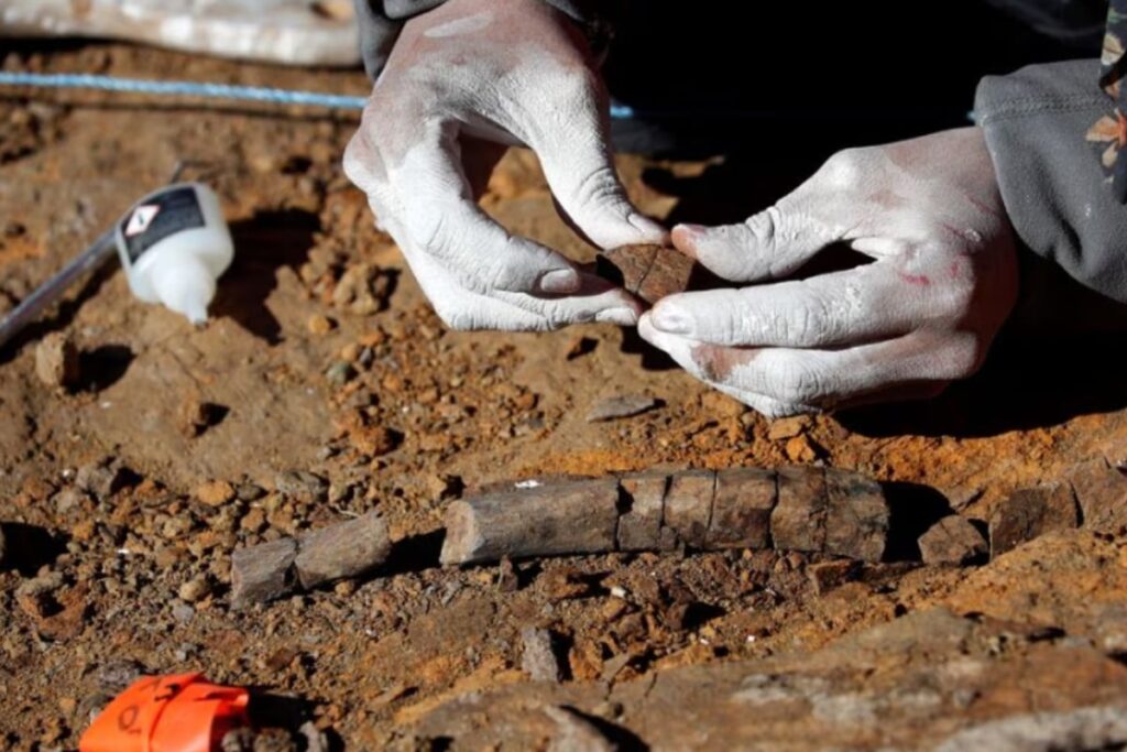 Scientists Discover Duck-billed dinosaur roamed Chile 72 million years ago