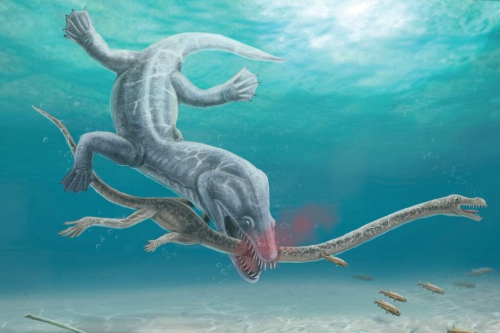 Fossils Show Ancient Long-necked Sea Beast's 'Gruesome' Decapitation