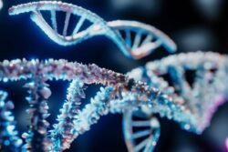 Gene Variant Linked to Multiple Sclerosis Severity