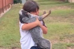 Little Girl’s Reunion With Her Lost Pet Dog Is An Overflow of Emotions