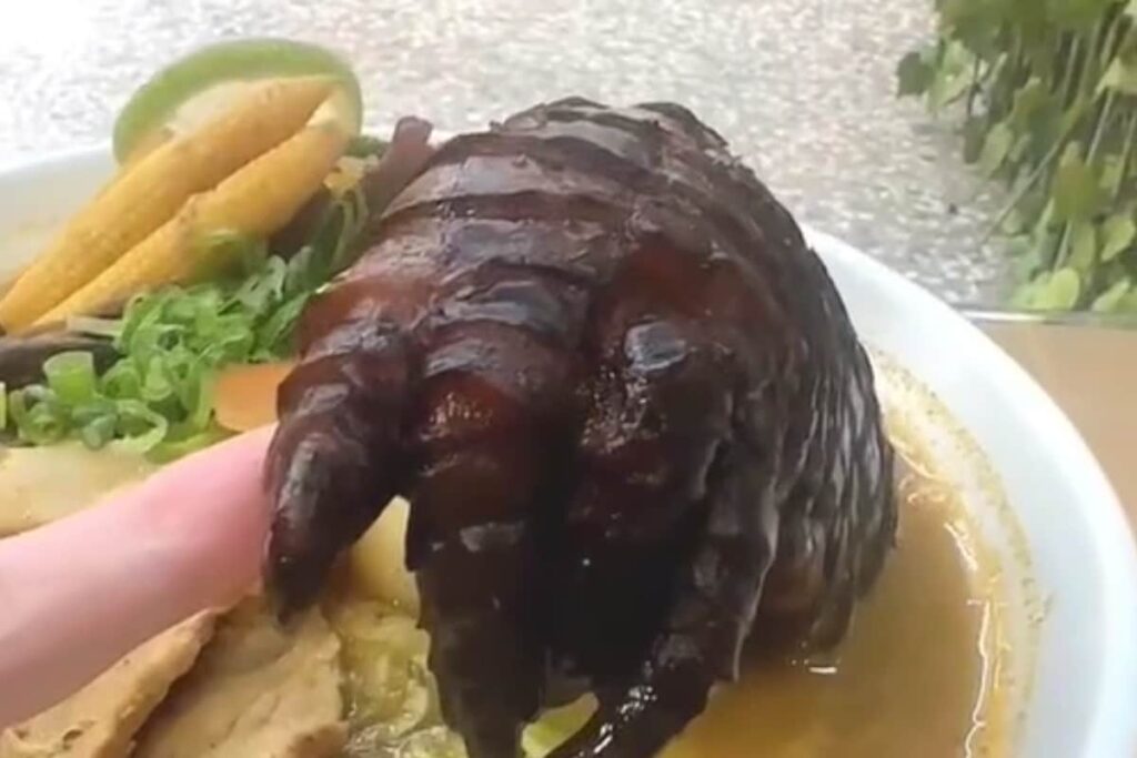 ‘Godzilla Ramen’: Noodles Served With Crocodile Leg Shocks Internet