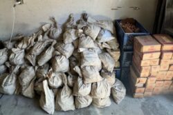 Los Angeles Couple Find One Million Pennies in Parent's Basement but Banks Decline Exchange Requests