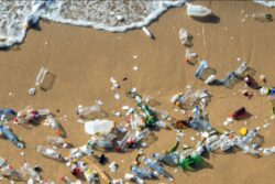 Scientists Warn of New 'Deadly Virus' Due to Climate Change