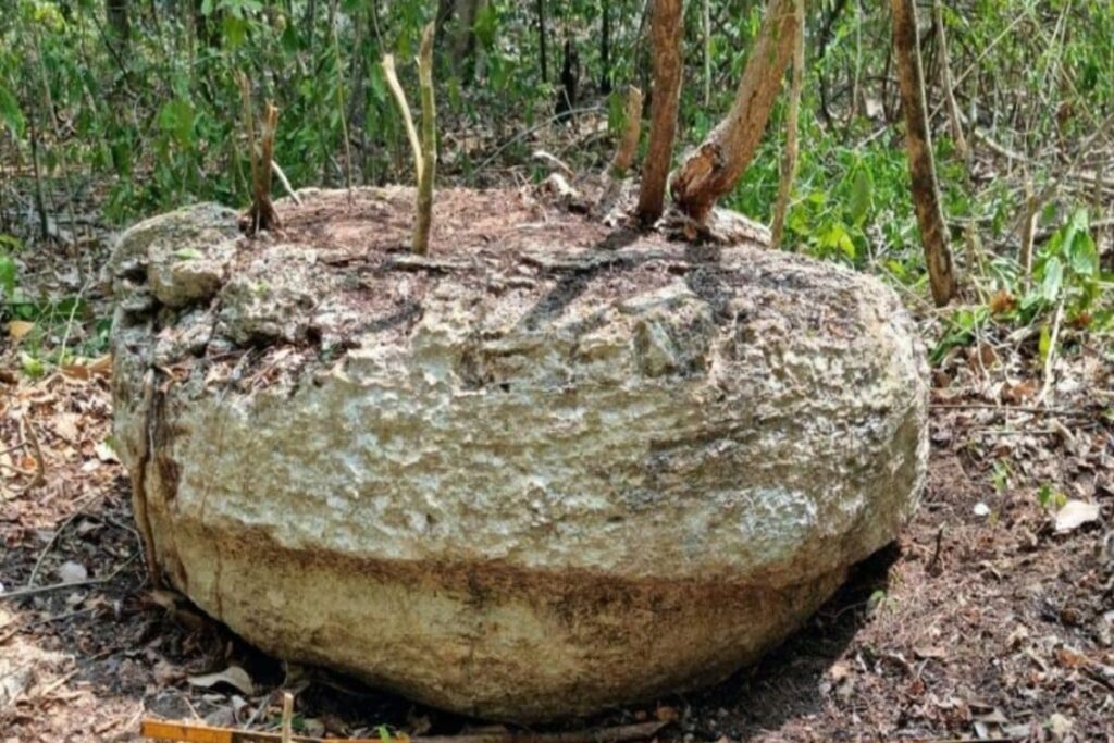 Researchers Discover Ancient Maya City In A Mexican Jungle