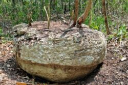 Researchers Discover Ancient Maya City In A Mexican Jungle