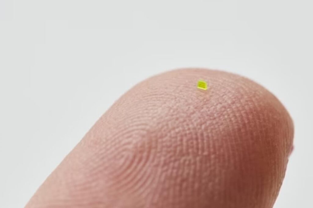 Remember The Microscopic Louis Vuitton Handbag? It Was Sold For Rs 51 Lakh